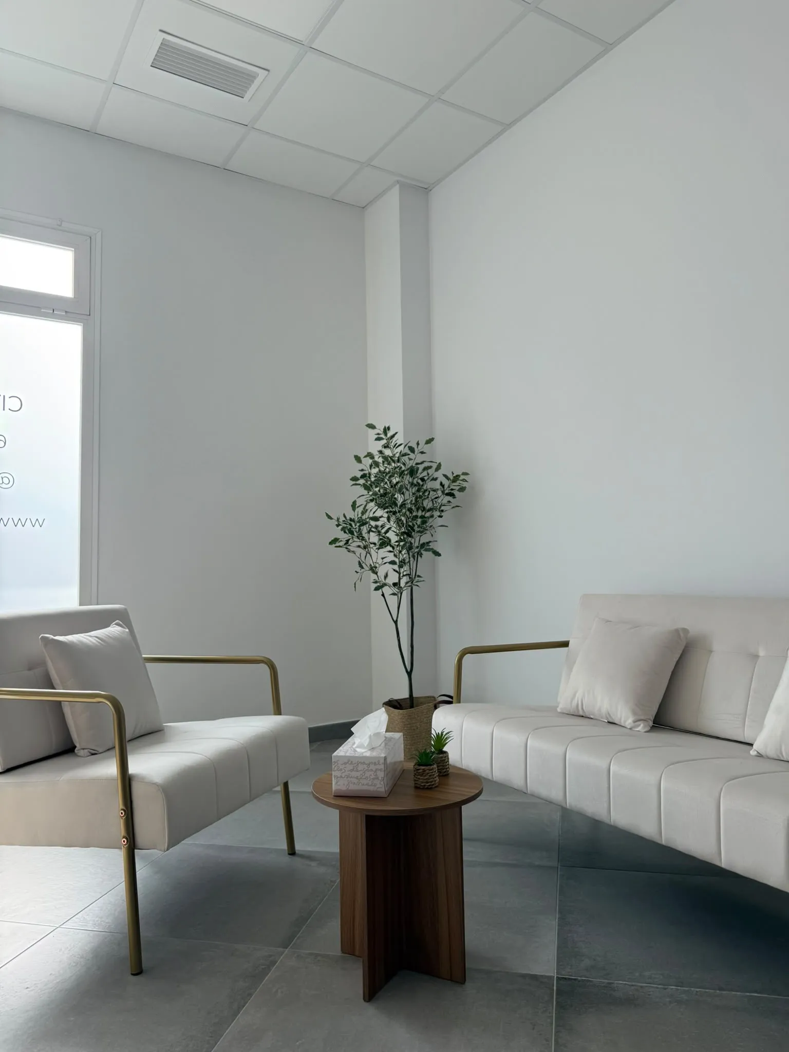 Recibidor de Clínica LAUVEL con zona de espera de sillones blancos y plantas